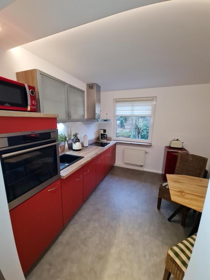 Appartement Haus Fernblick à Kurort Bärenburg Extérieur photo